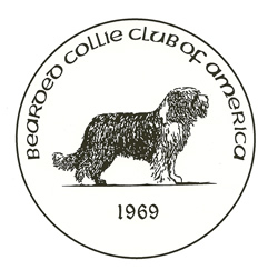 Schurend Scorch een andere Bearded Collie Club of America – BCCA.US